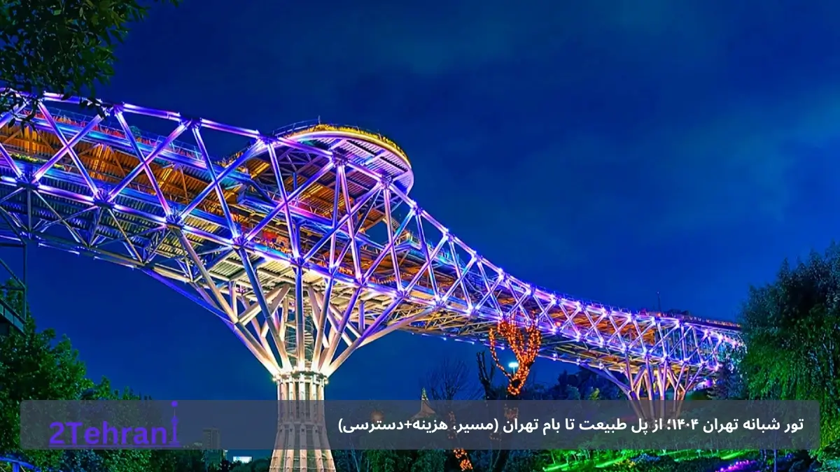 پل طبیعت در شب 