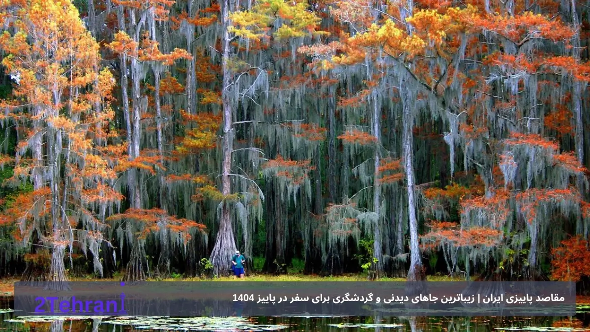 سفر به رامسر در پاییز